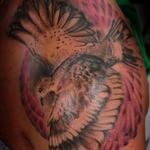 Tattoos - Sketchy Dove - 116047